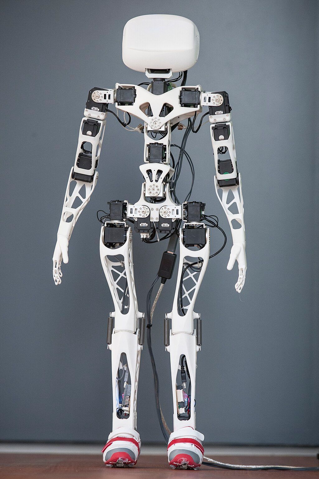 3D Printed Poppy humanoid robot