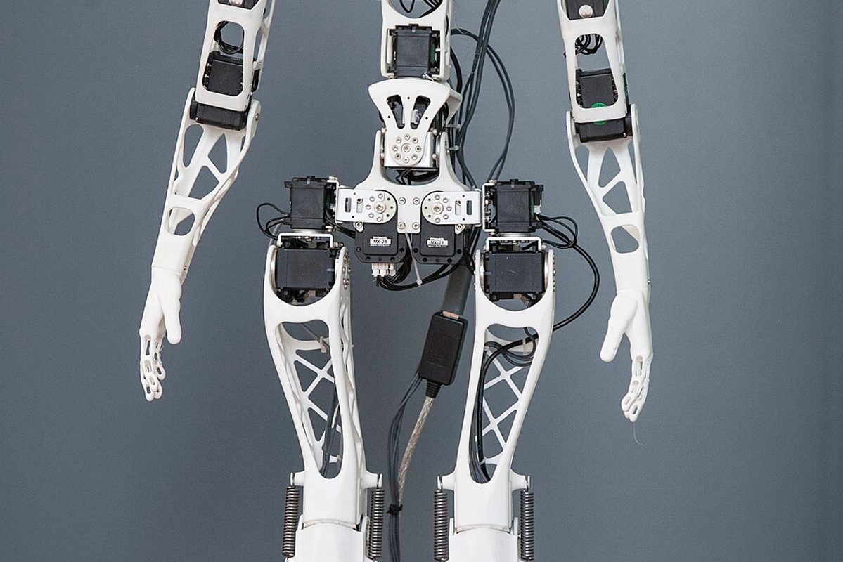 3D Printed Poppy humanoid robot