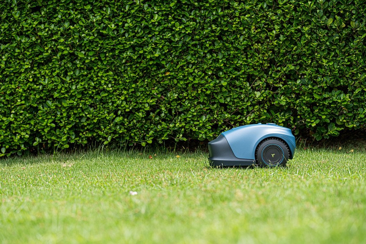 Robot lawnmower at work