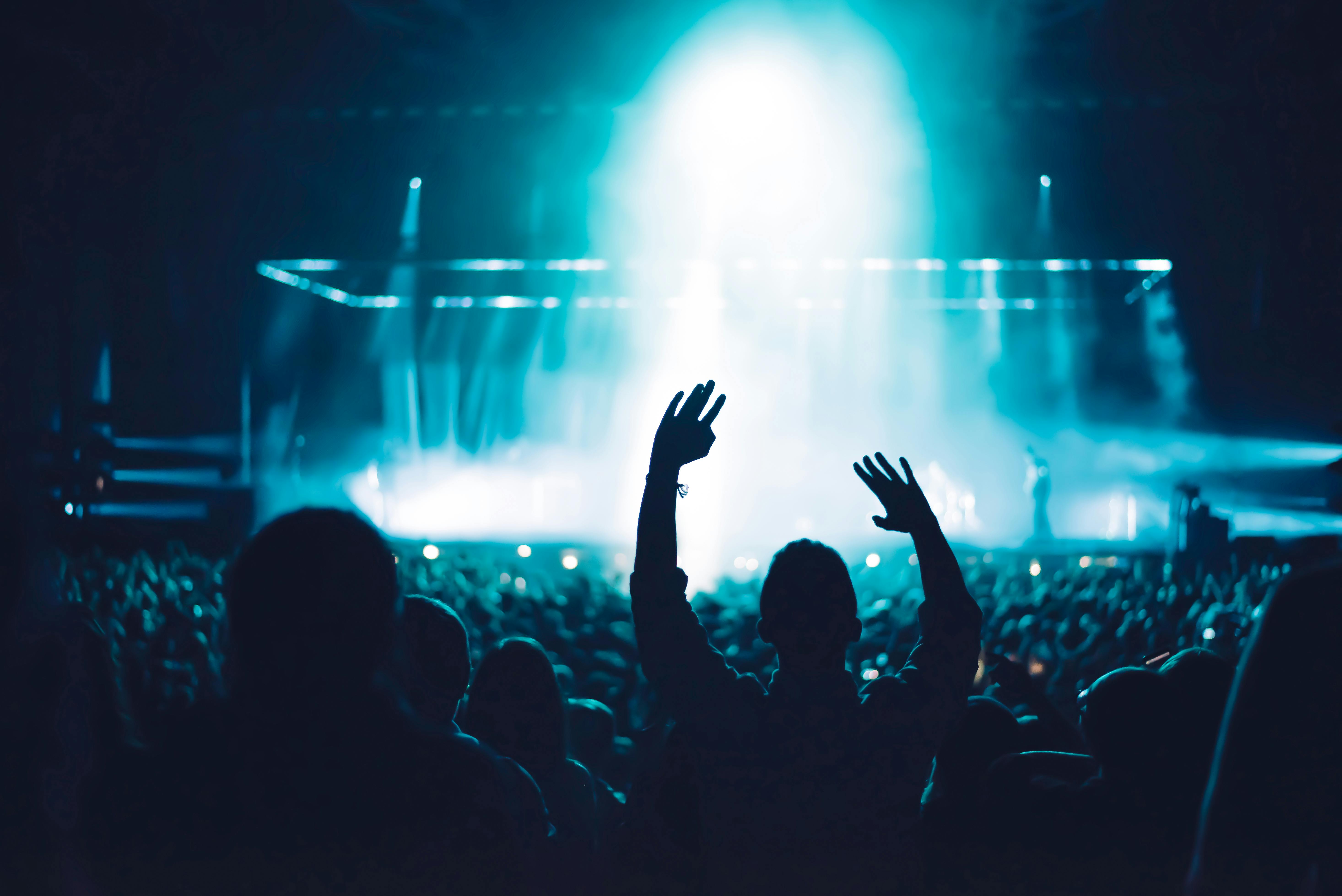 Silhouette of a crowd at a concert