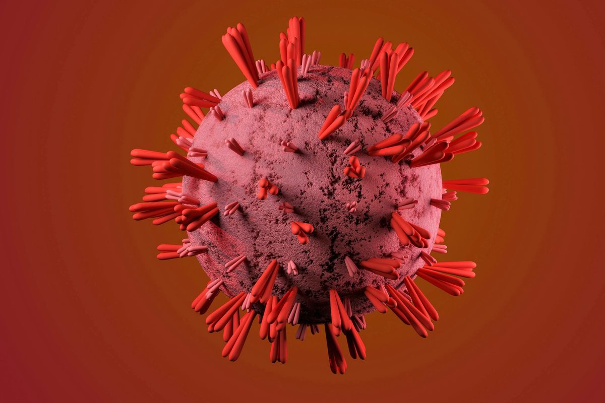 White and Red Dandelion Flower