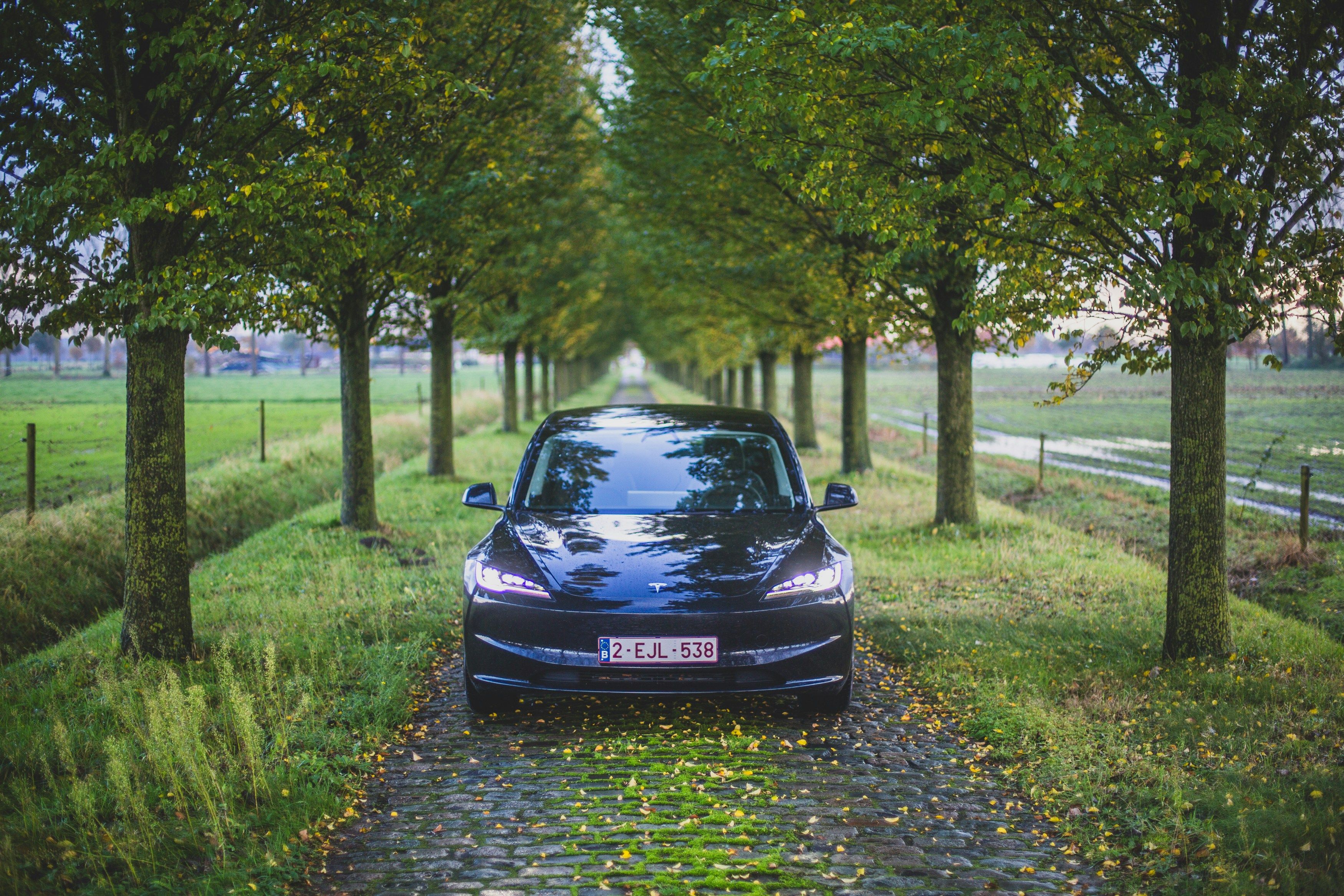 A Tesla car parked on cobblestone flanked by trees on either side