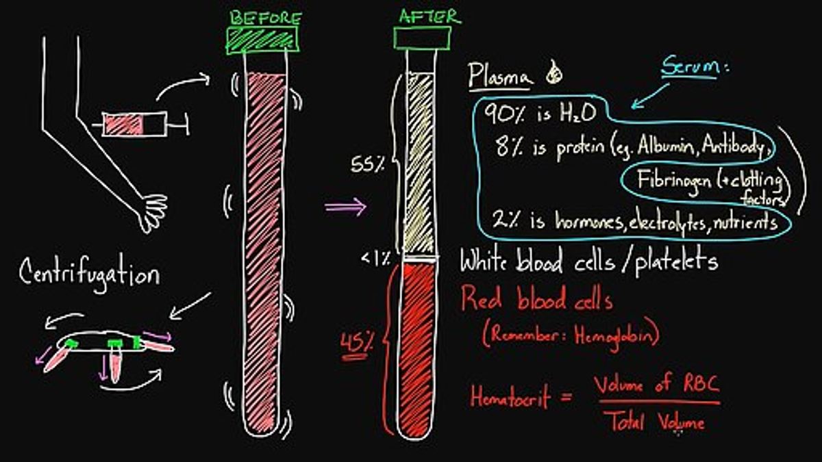 An example frame from a Khan Academy video