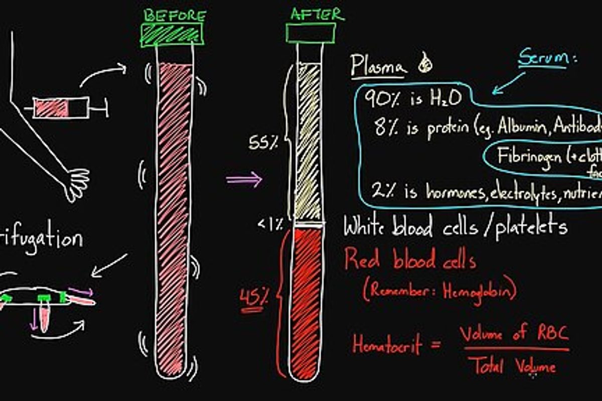 An example frame from a Khan Academy video