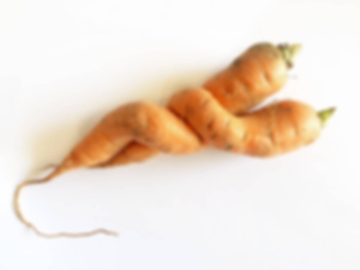 two carrots in an embrace