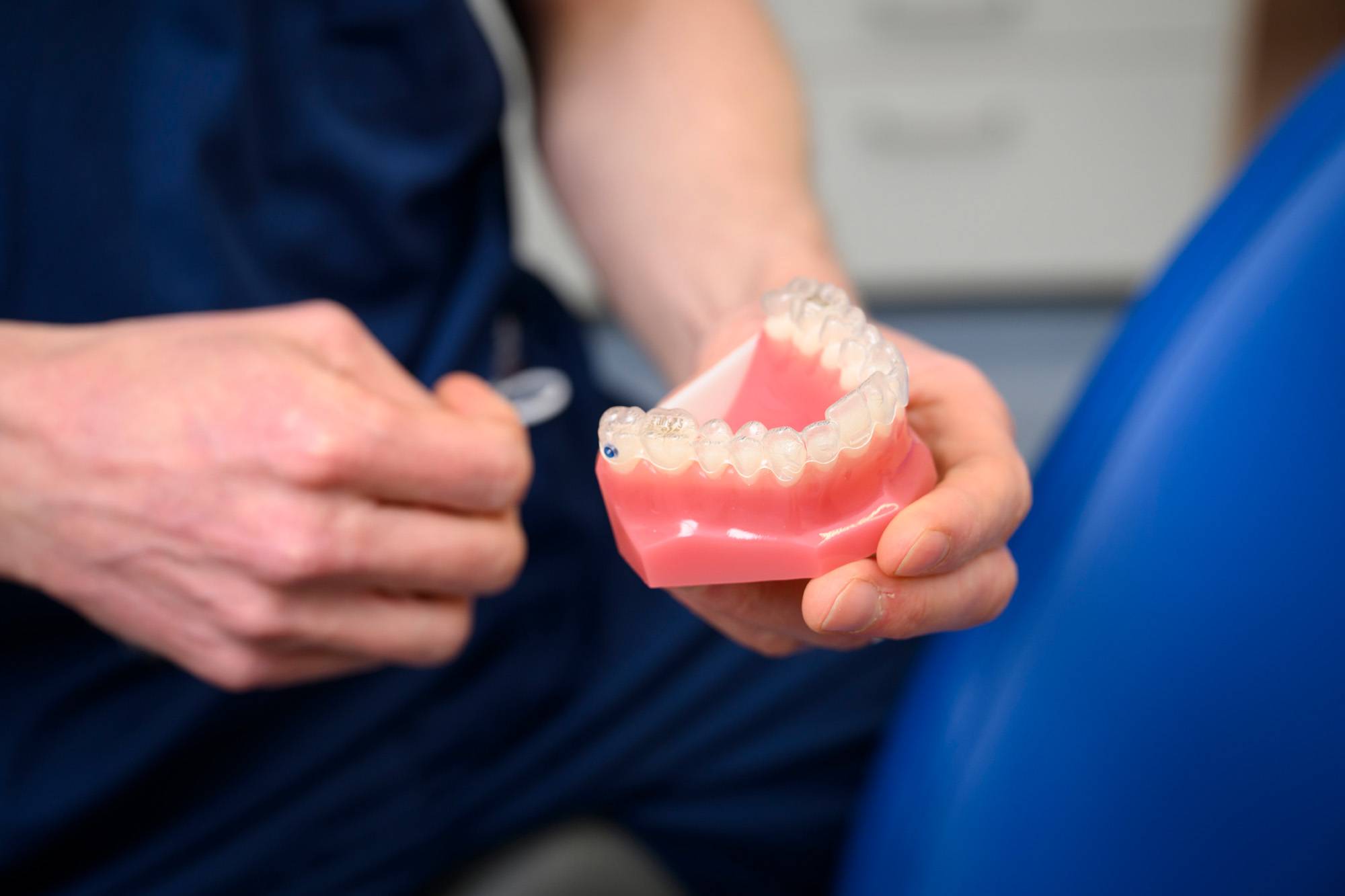 A lower jaw model