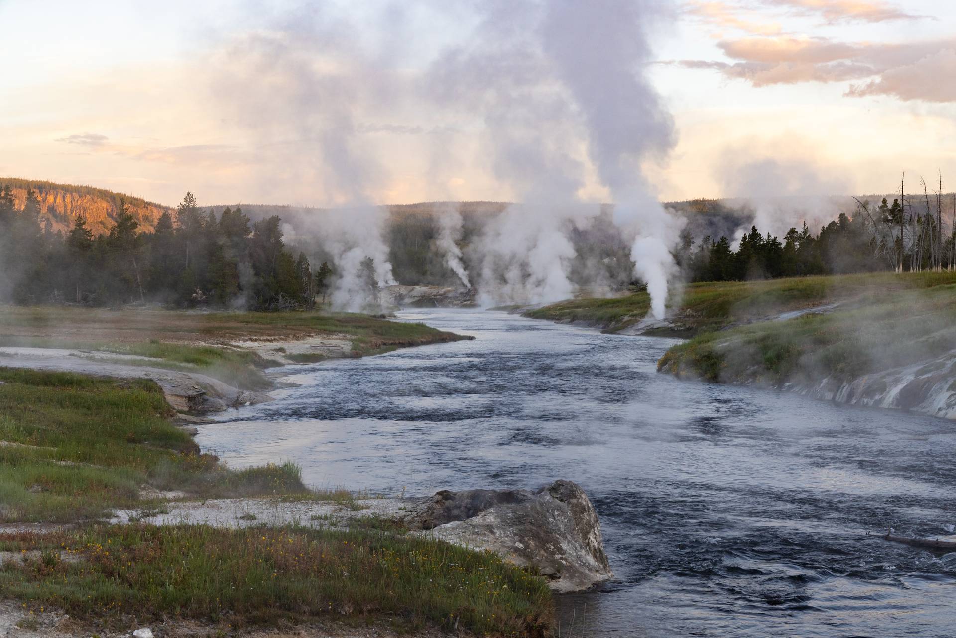 Geysers in Yellowstone National Park