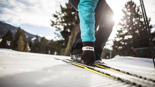 Nordic ski rentals
