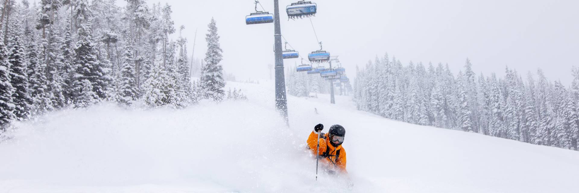 Skier in powder