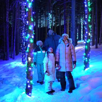 Enchanted Forest winter things to do
