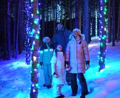 Enchanted Forest winter things to do
