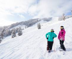 Skier and snowboarder on a powdery run