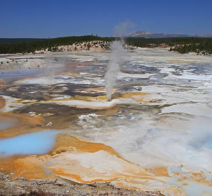 Lower Geyser Basin in Yellowstone National Park