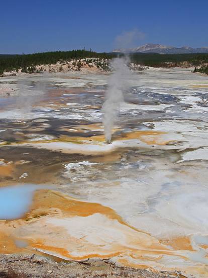 Lower Geyser Basin in Yellowstone National Park