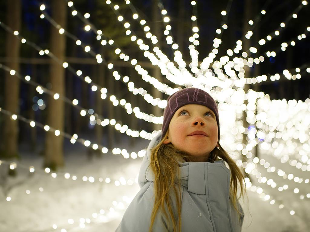 Girl in the Enchanted Forest