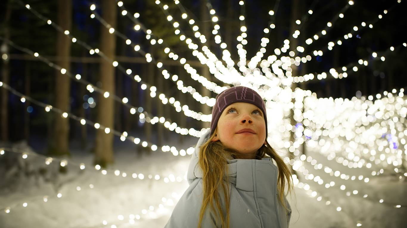 Girl in the enchanted forest