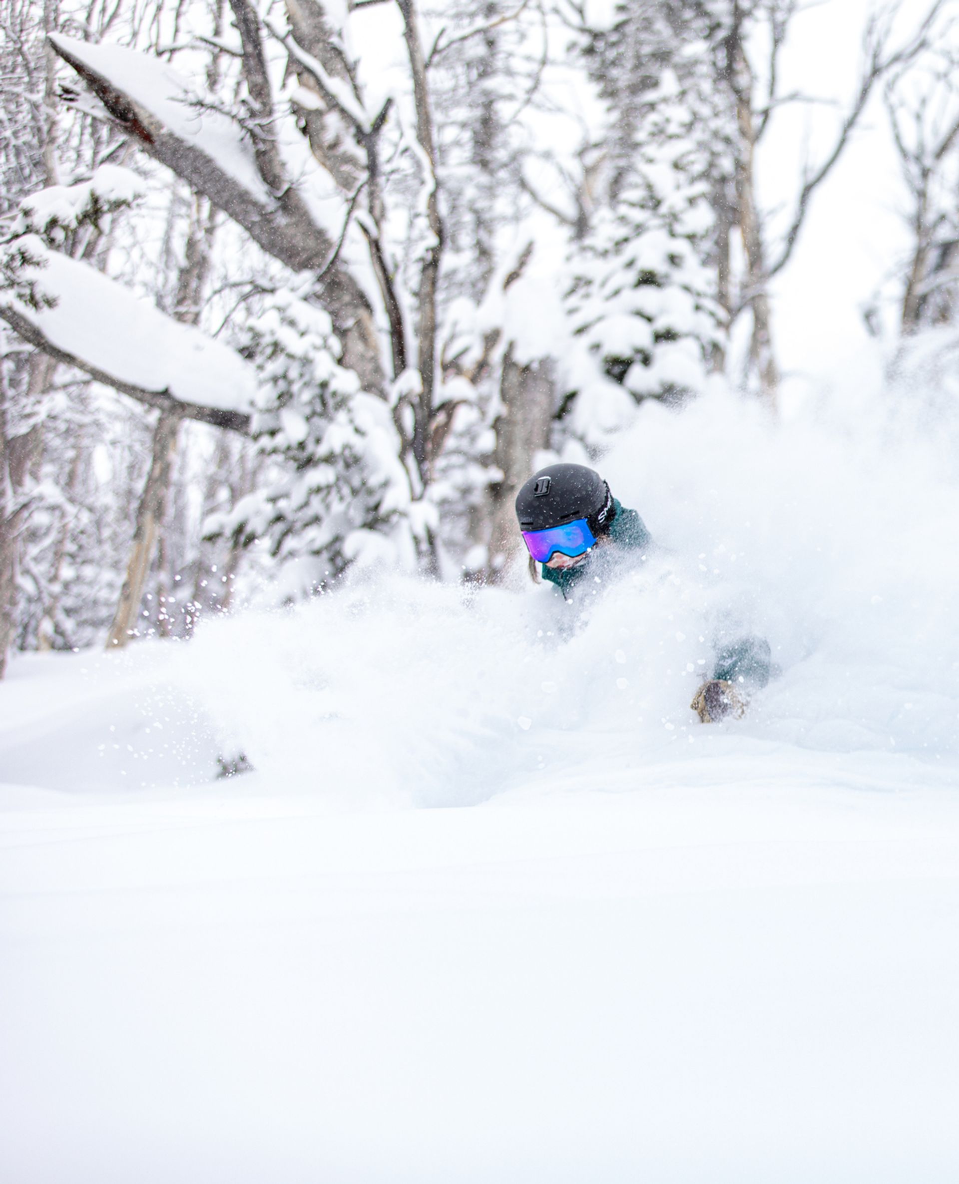 Skier in deep powder