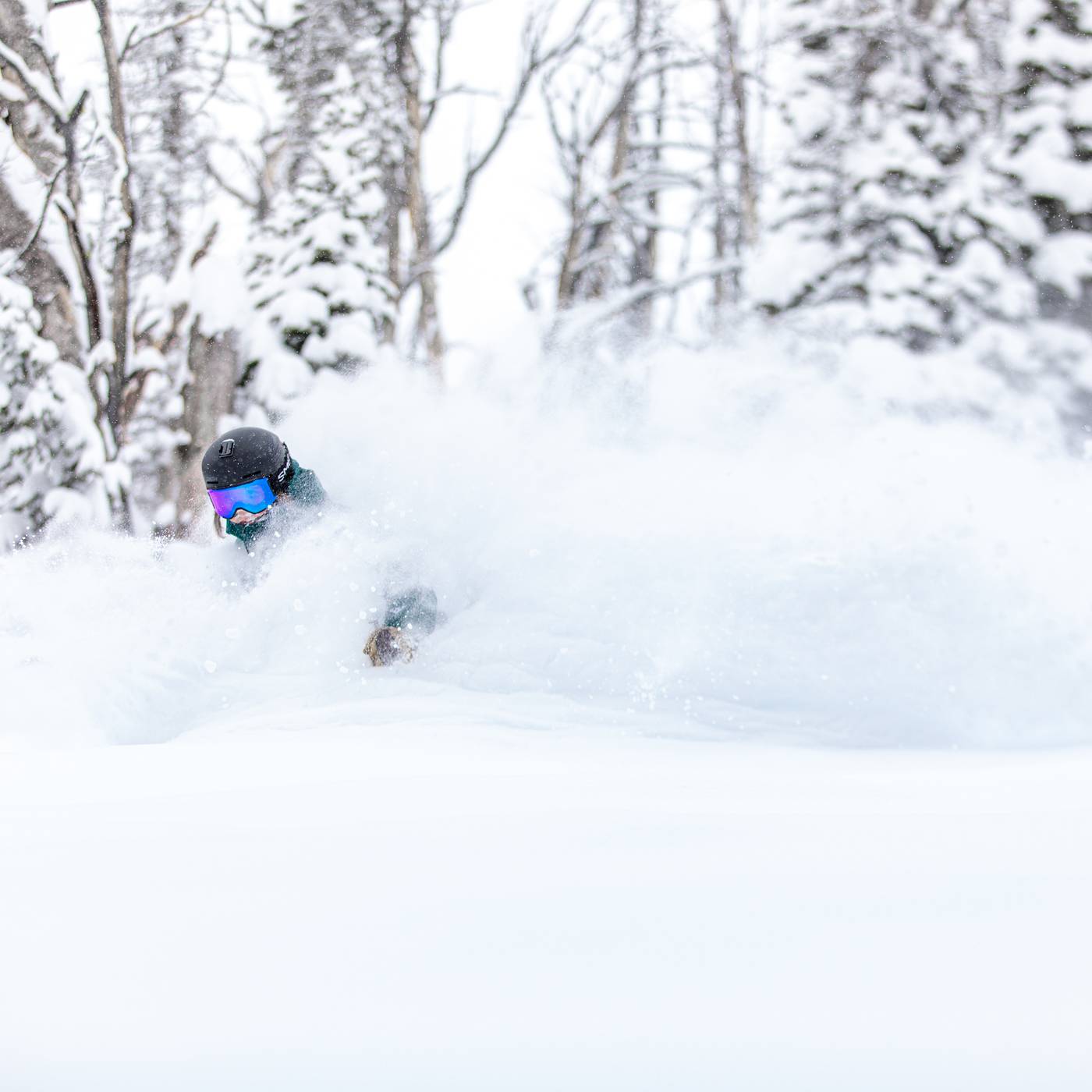 Skier in powder