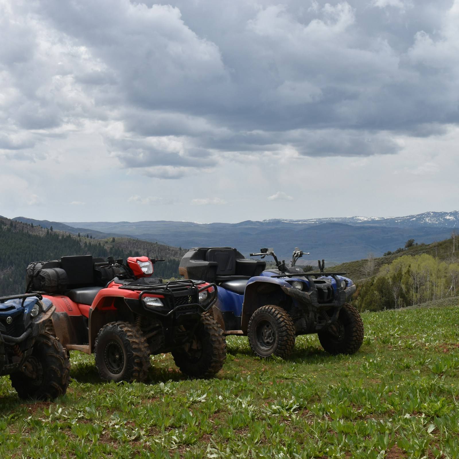 ATVs on a ridgeline in summer
