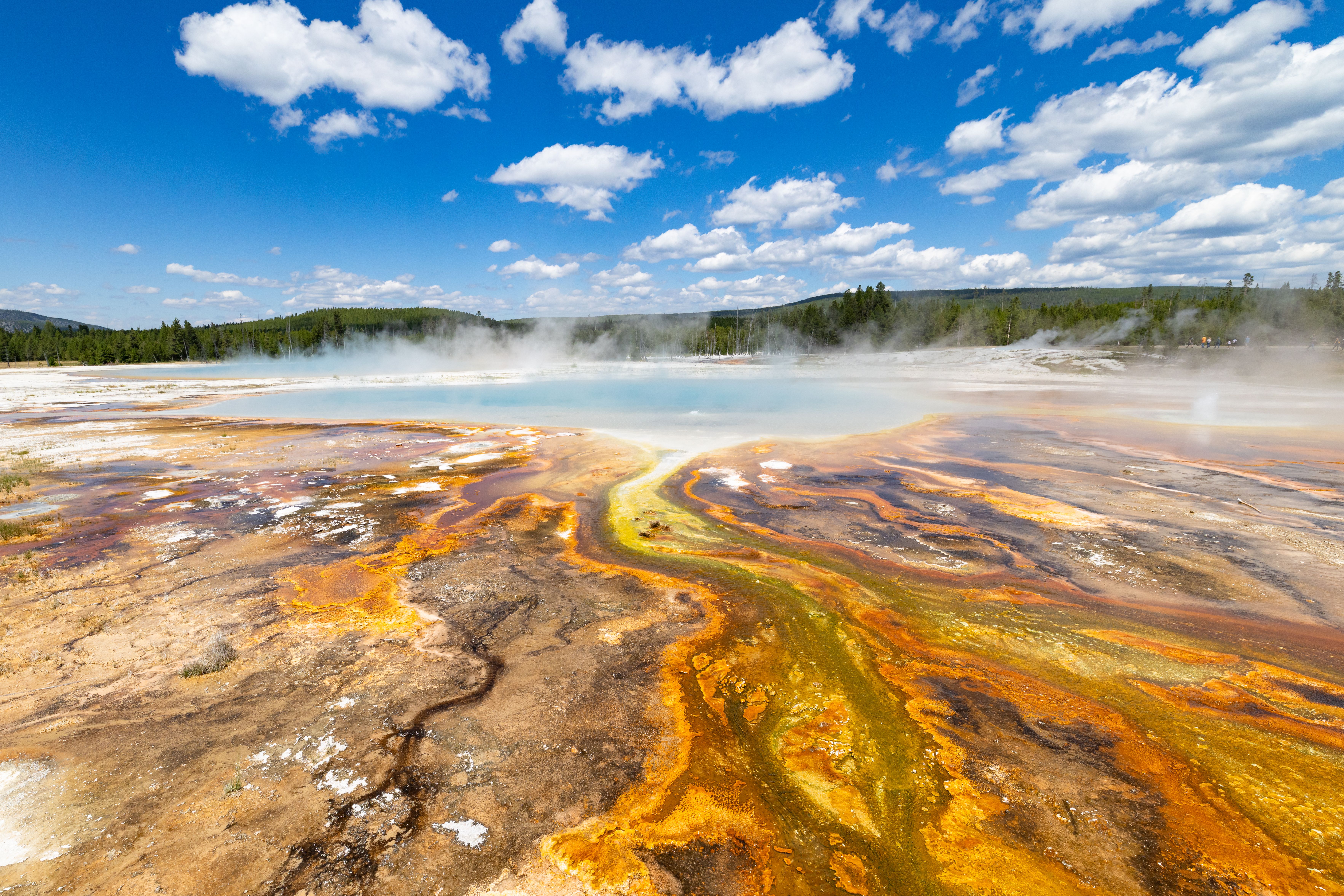 Geyser in Yellowstone National Park