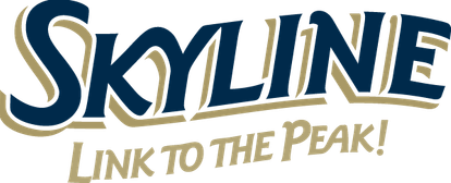 Skyline Bus logo