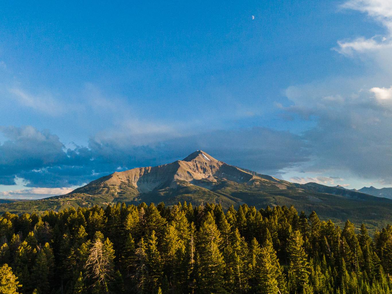 Lone Mountain in summer