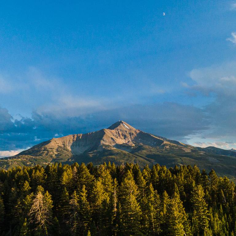 Lone Mountain in summer surrounded by forest