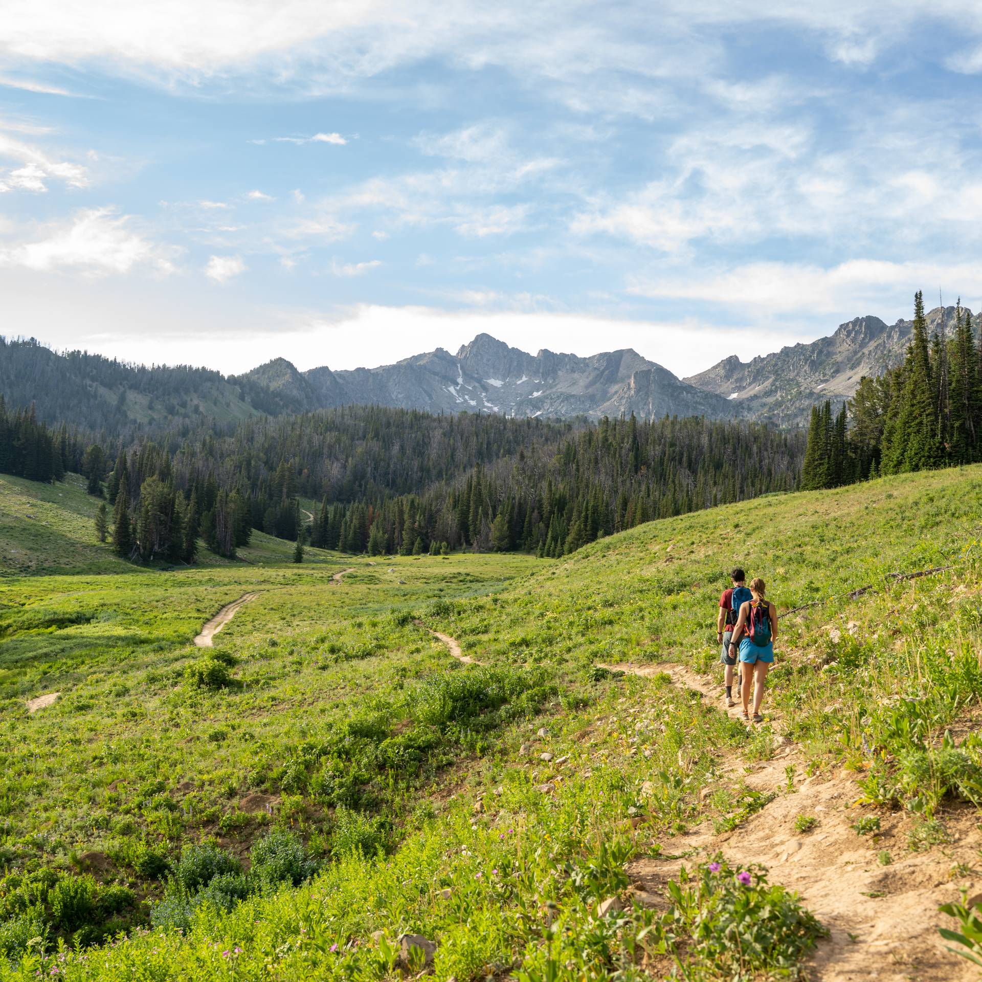 Hikers in Big Sky
