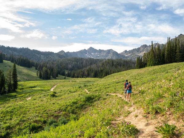 Beehive Basin