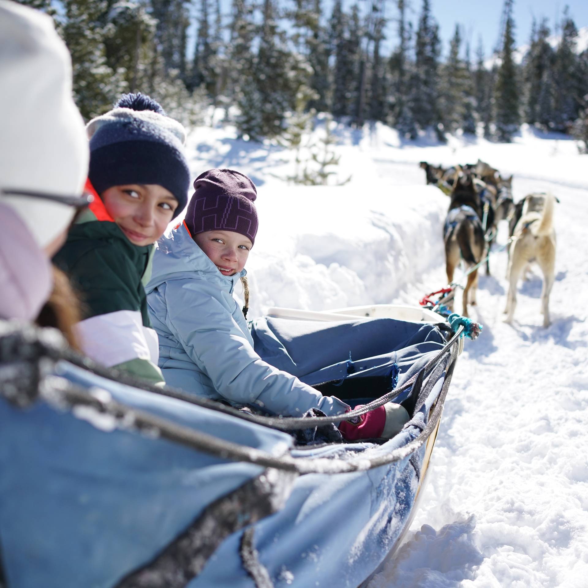 Family sitting in a dog sled