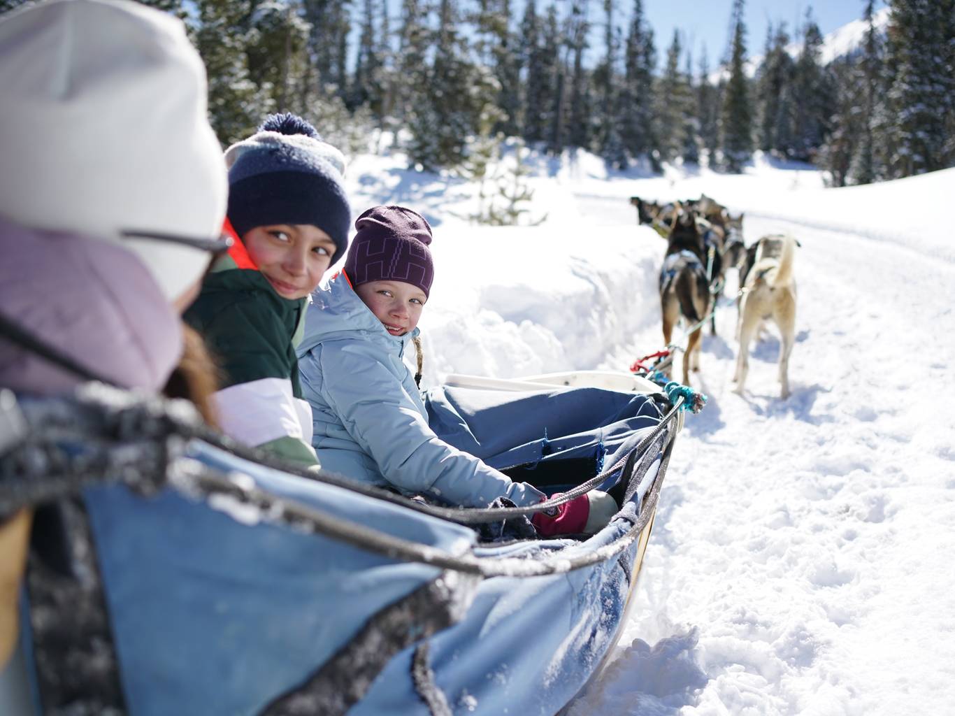 Family sitting in a dog sled