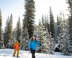 Enchanted Forest winter things to do