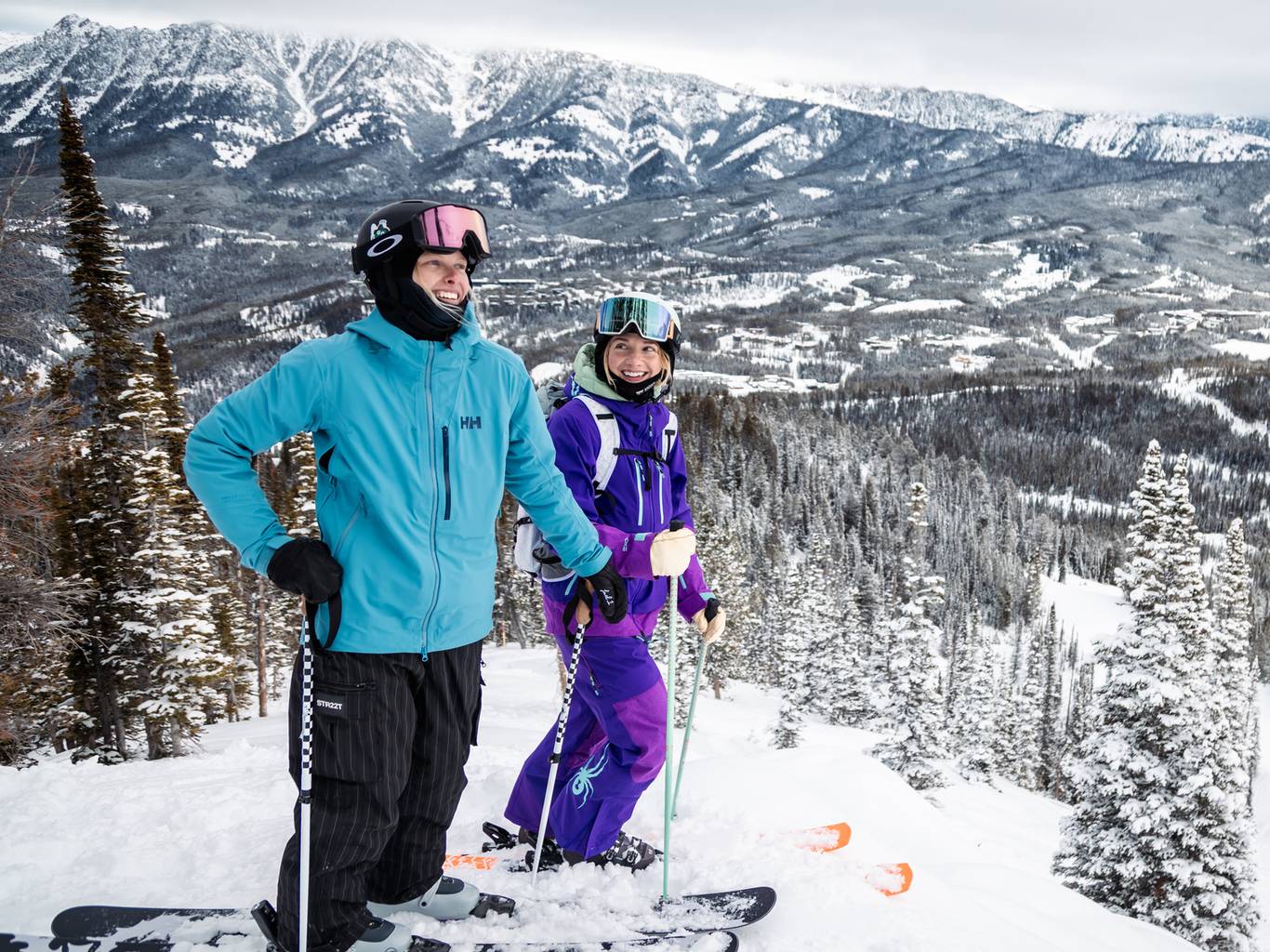 Two skiers in a snowy field