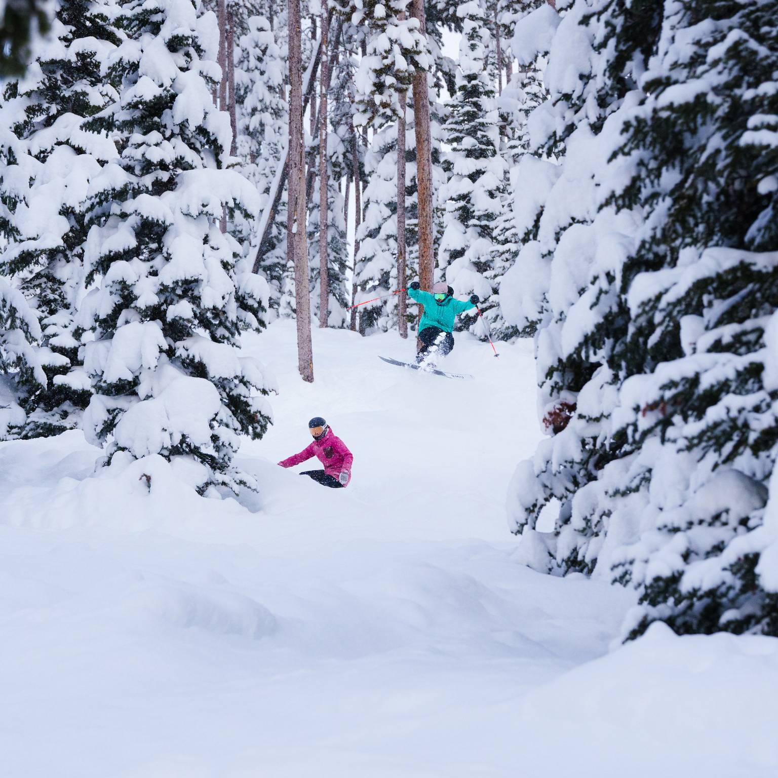 Skier and snowboarder on a powdery tree run