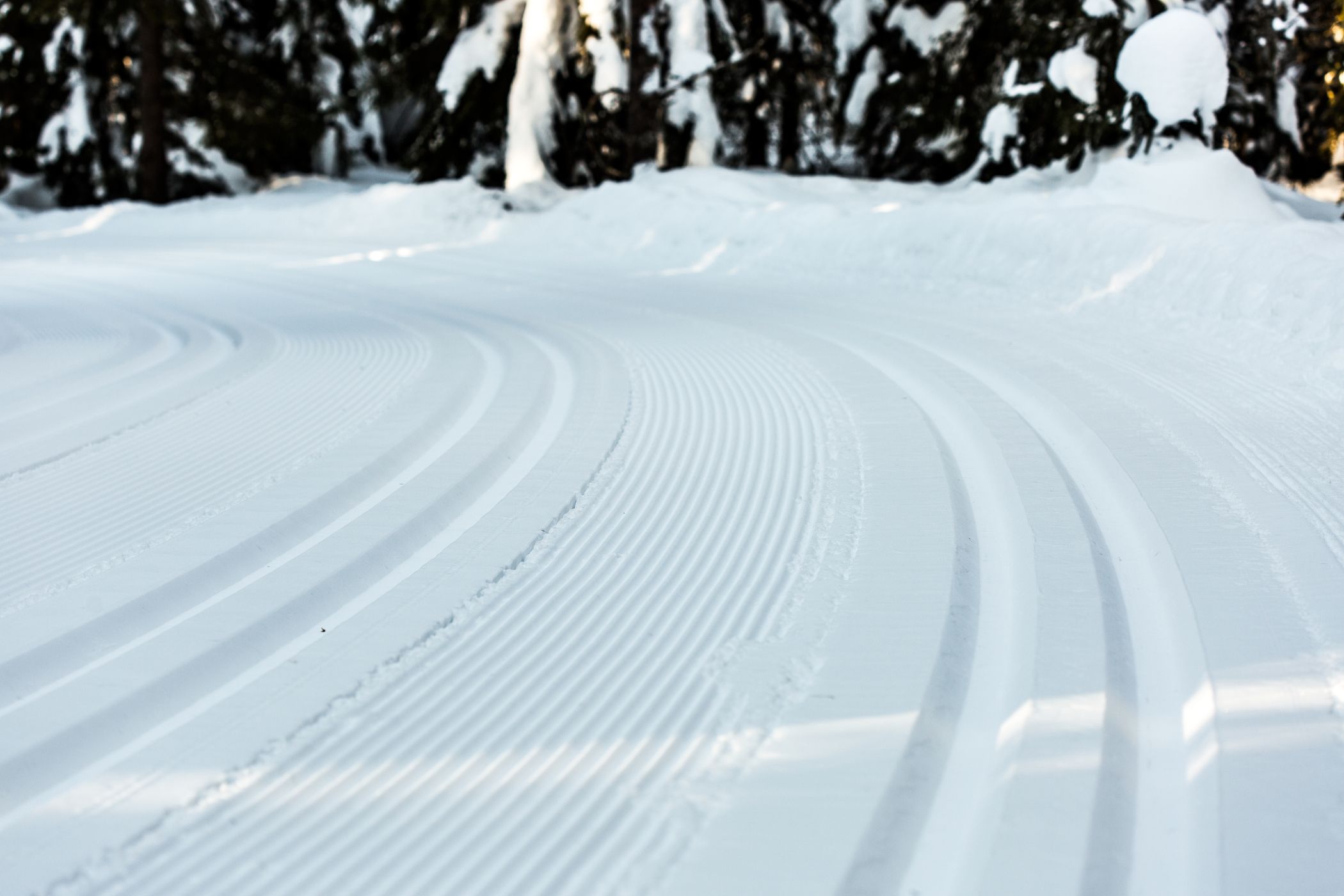 Skate and classic skiing groomed trail