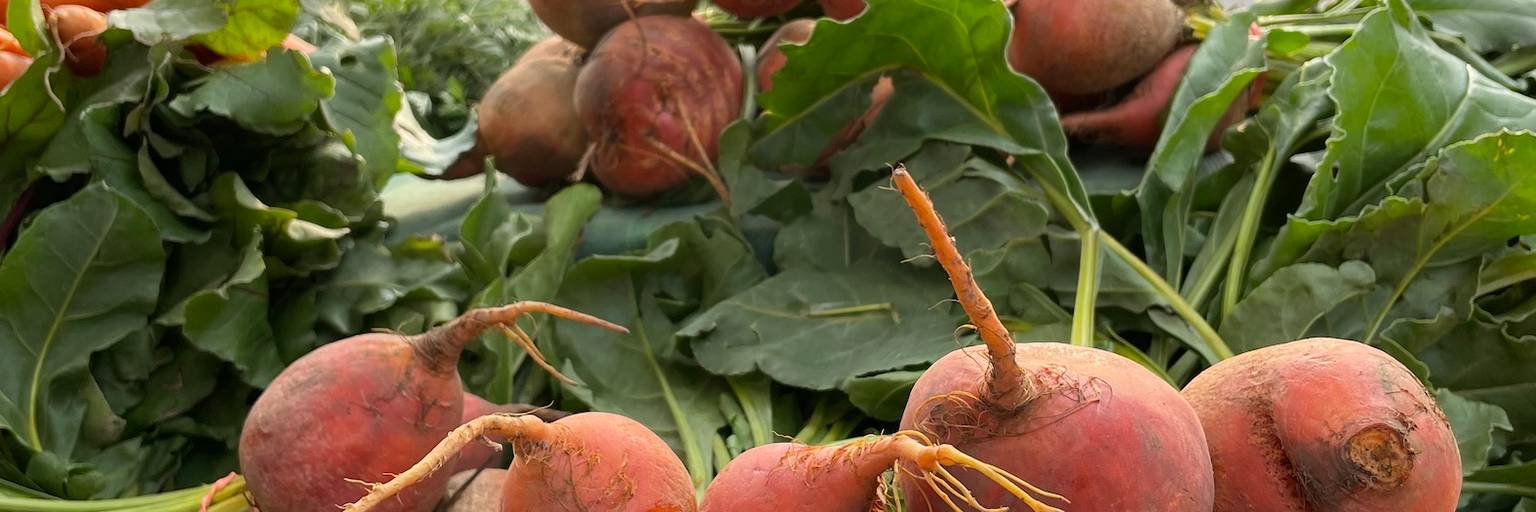 Vegetables at the Big Sky Farmers Market