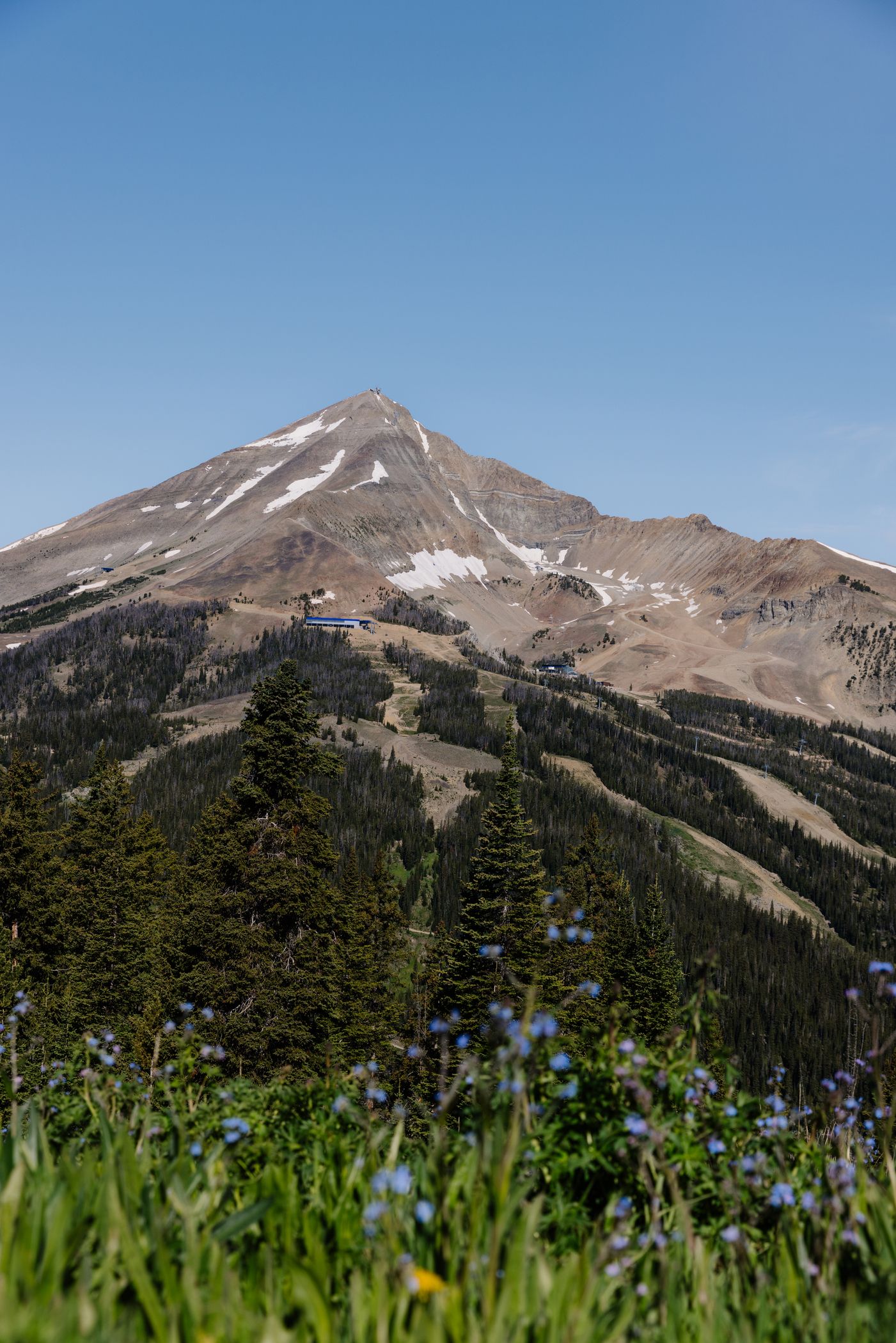 Lone Mountain in summer