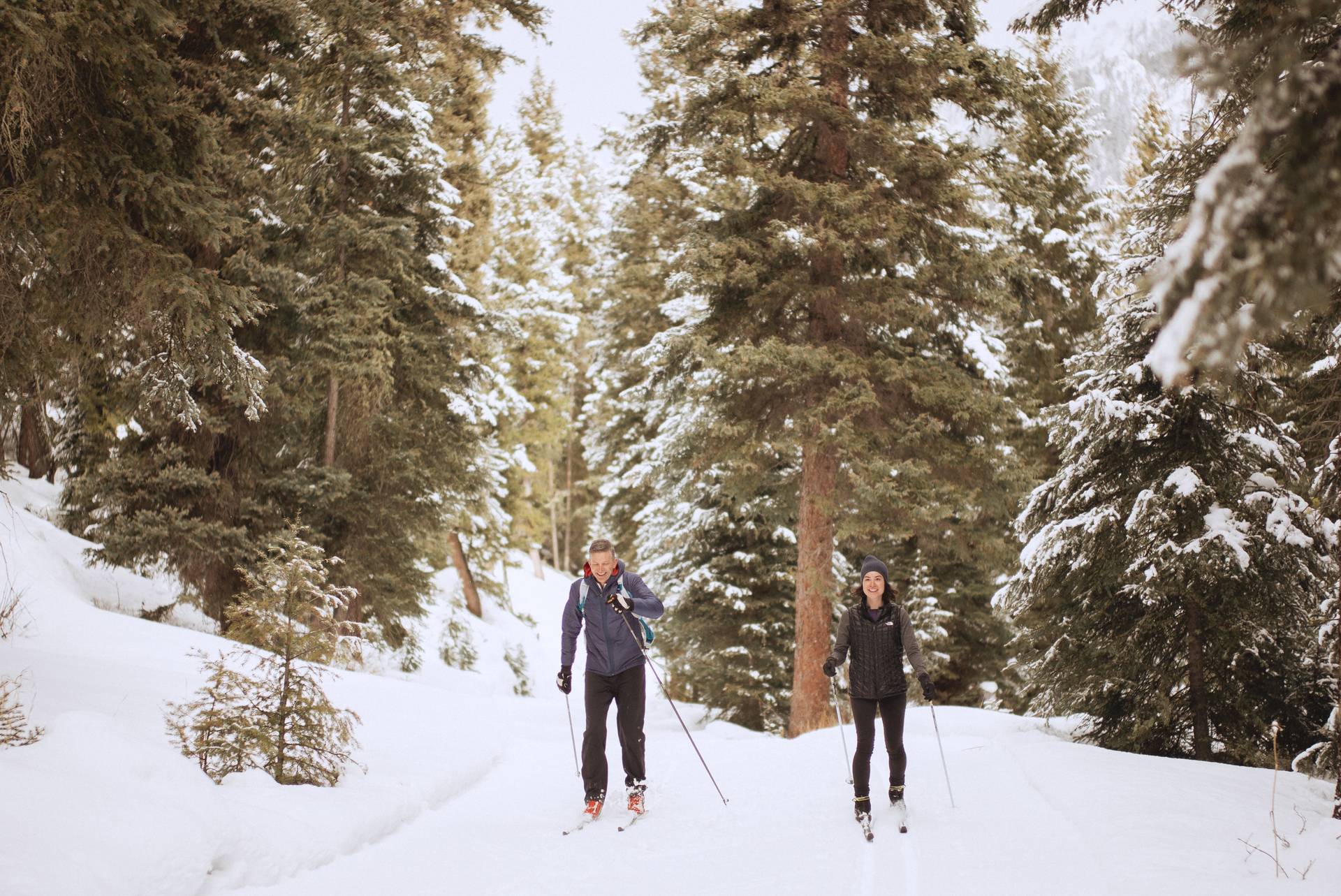 Two nordic skiers in the woods