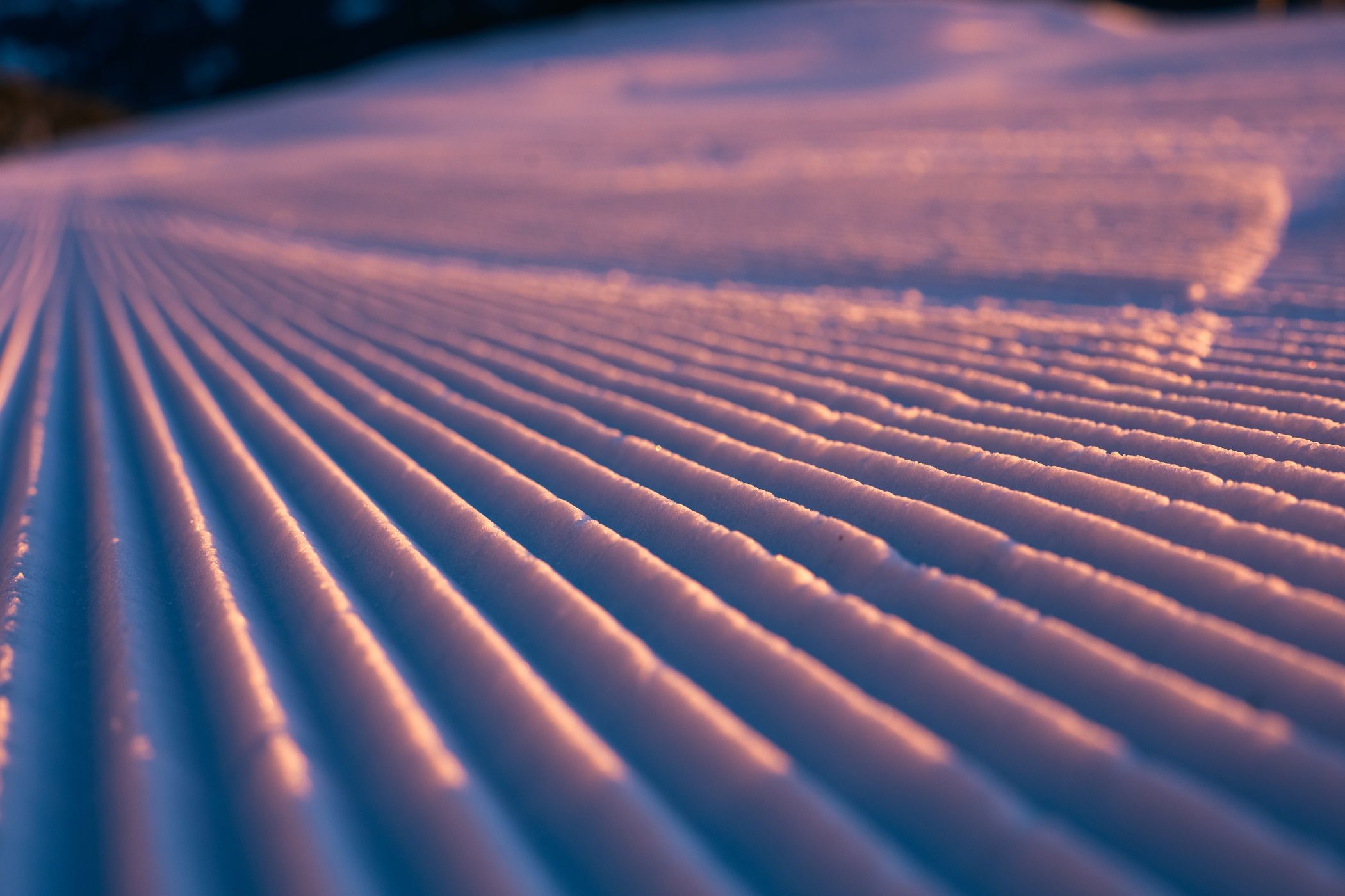 Groomed ski trail at sunrise