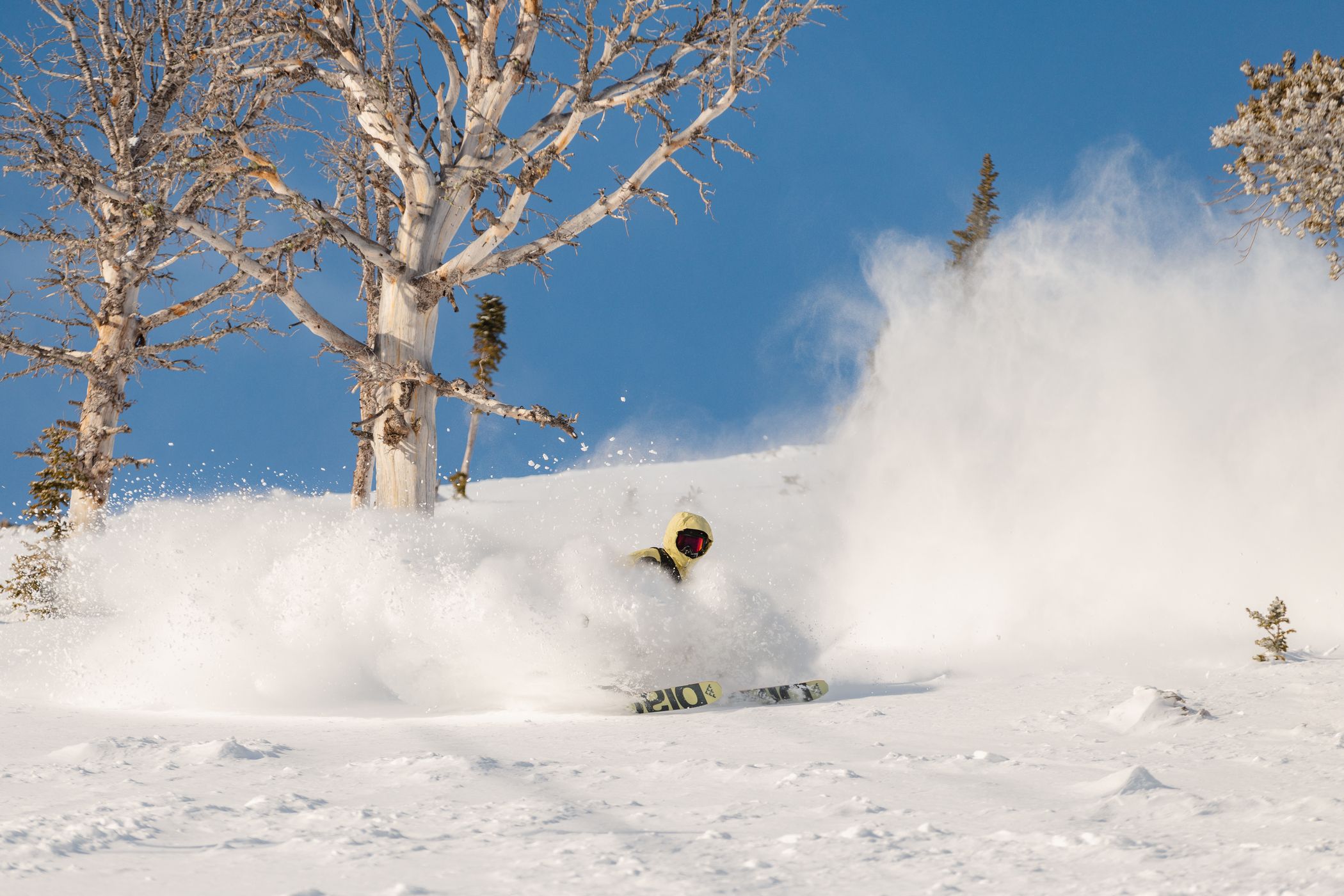 Skier in powder
