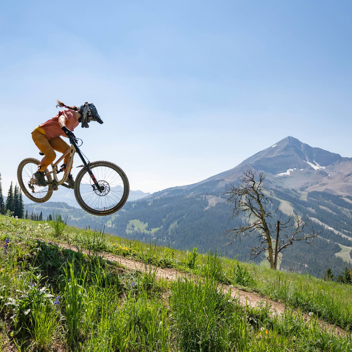 Mountain biker jumping on a trail