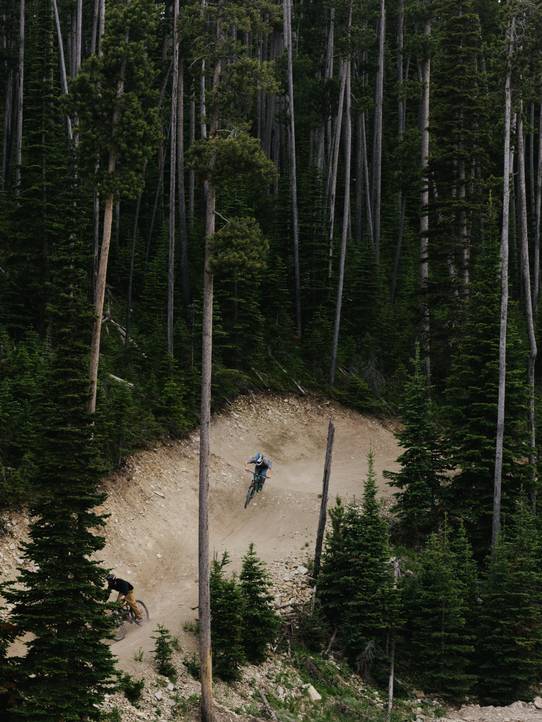 Mountain biker on a trail surrounded by lodgepole pine trees