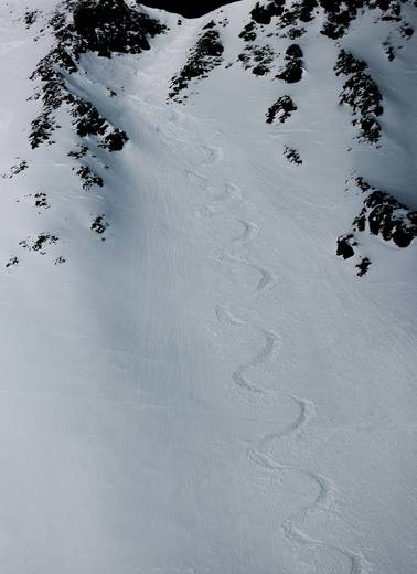 Ski tracks in fresh powder