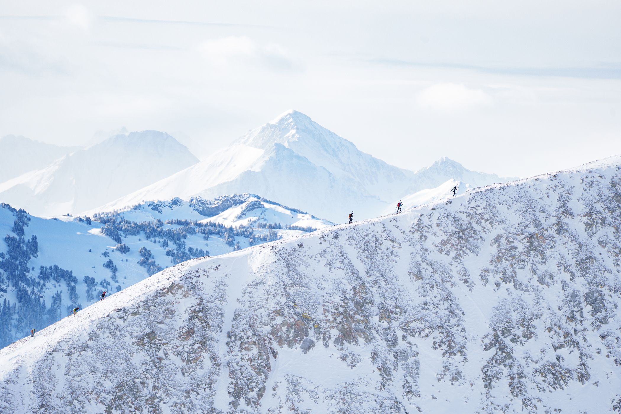 Shedhorn Skimo Race racers