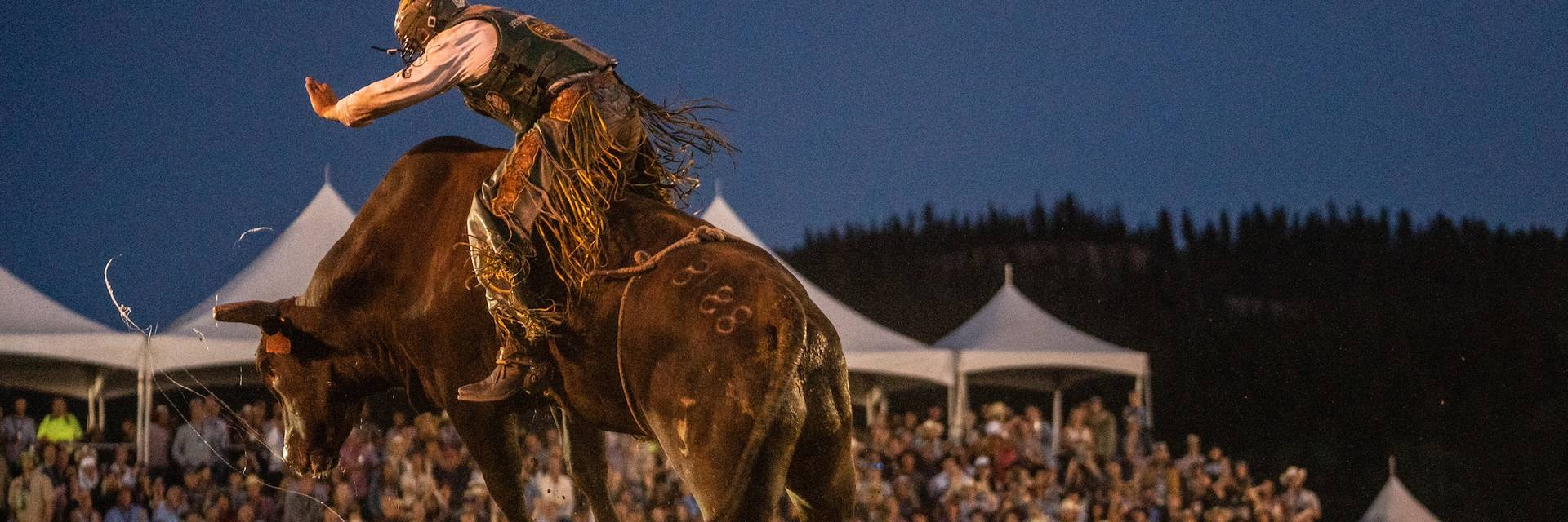 Bull rider