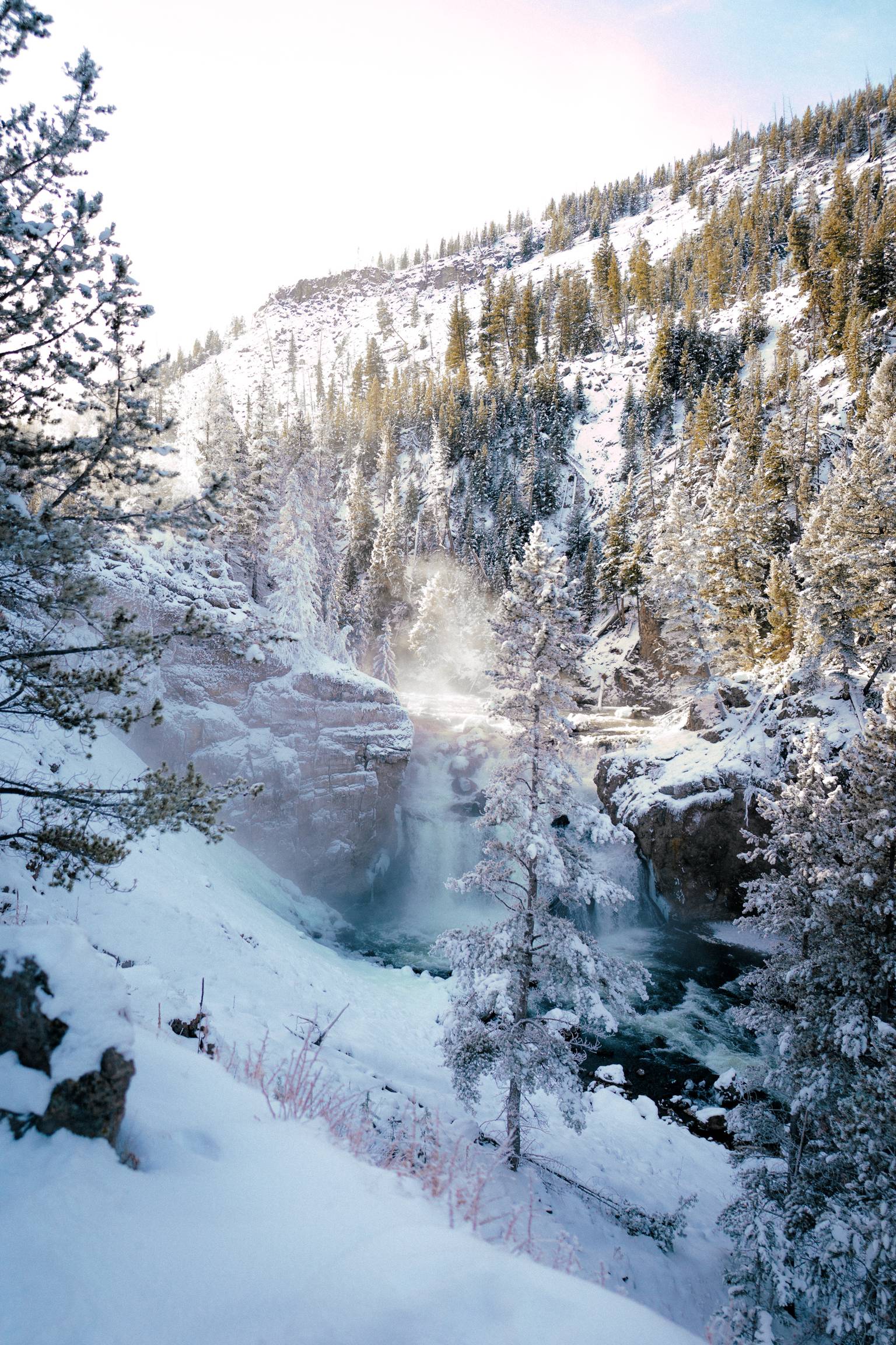 Yellowstone National Park in winter