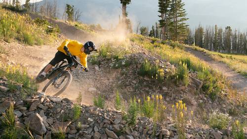 Mountain biker