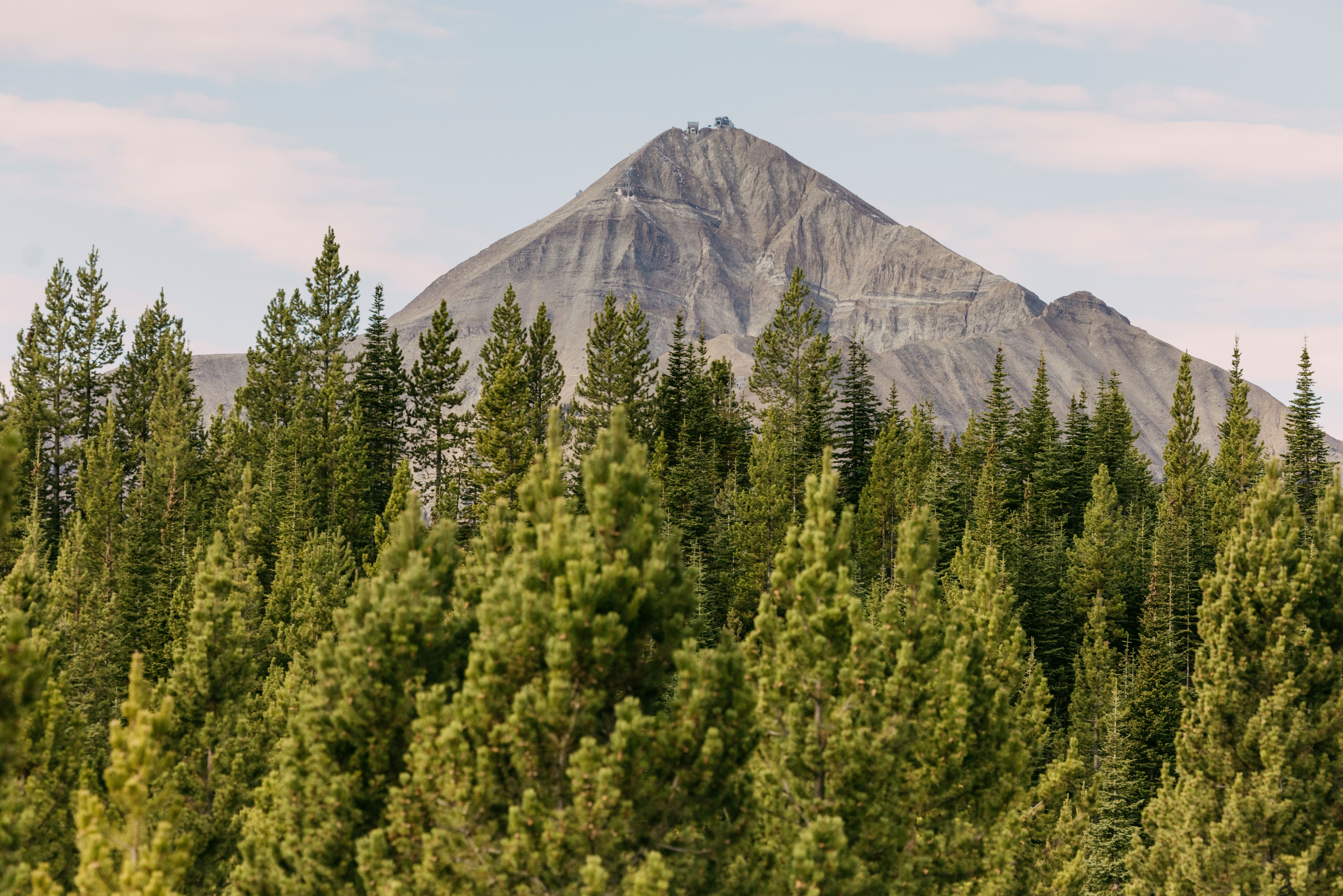 Lone Mountain in summer