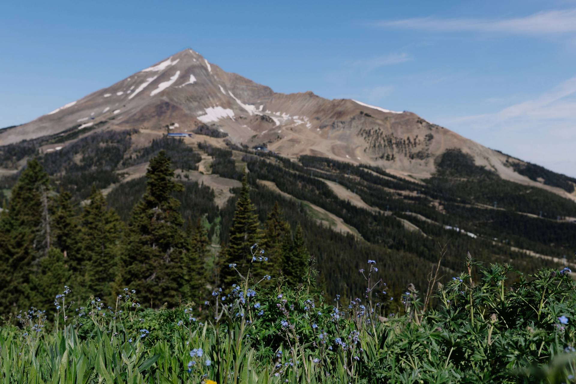 Lone Mountain in summer