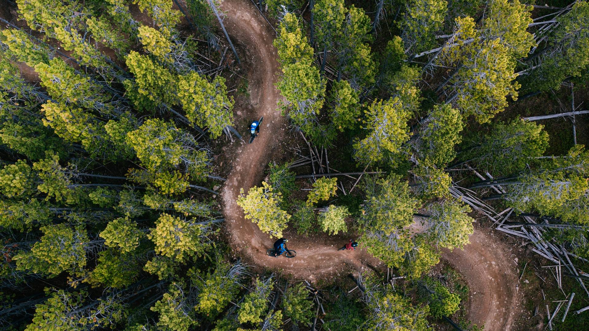 Mountain bikers from above